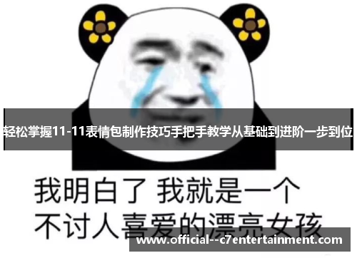 轻松掌握11-11表情包制作技巧手把手教学从基础到进阶一步到位